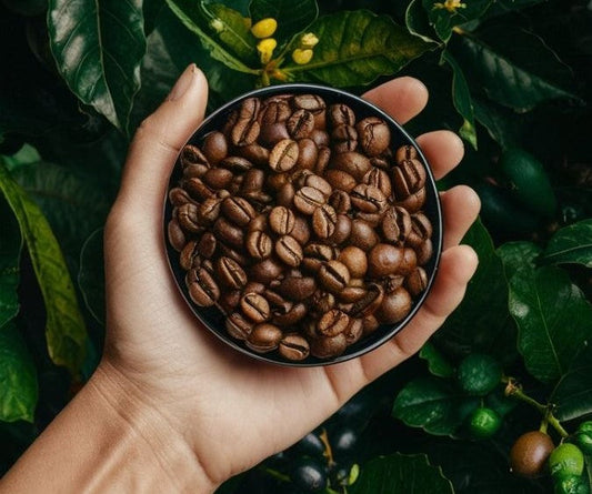 Afinal, o café faz ou não bem?