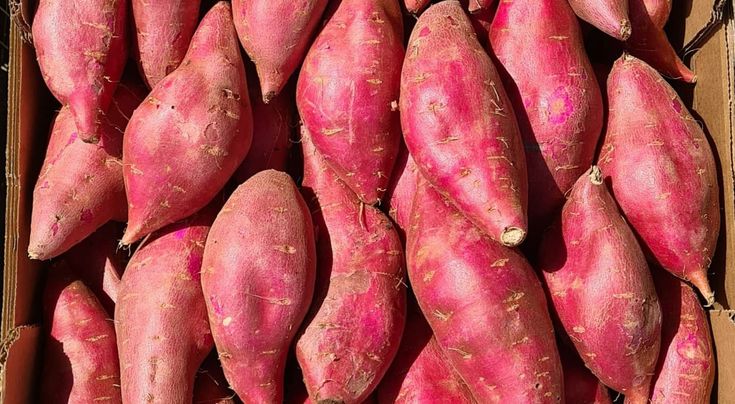 Batata-doce: Benefícios Nutricionais